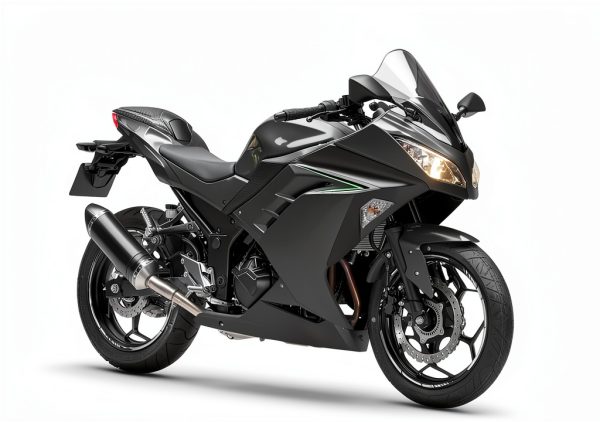 Kawasaki Ninja EX300 Seat Cowl PSLER Carbon Fiber - 2013-2017-6